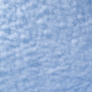 Some Image Alt Tags!